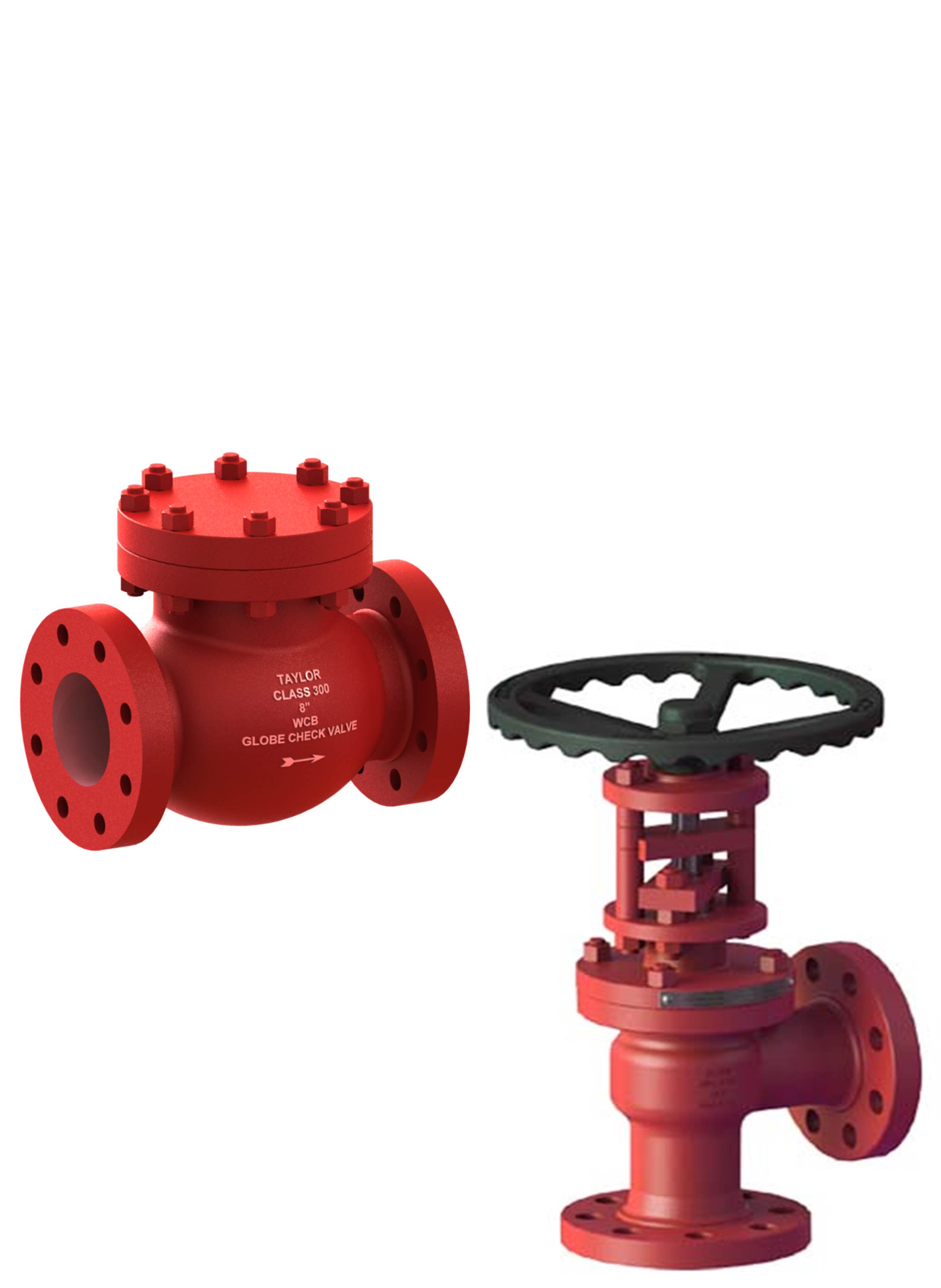 Globe and Angle valves